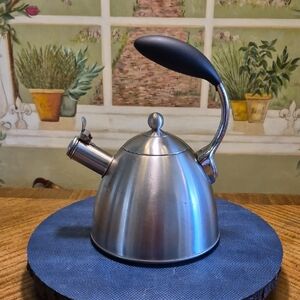 MasterclassPremium CollectionStainless Steel Tea Kettle (#TK-1)Ergonomic handle